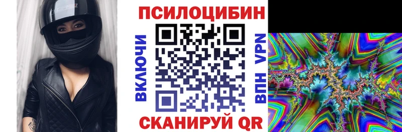 блэк спрут ССЫЛКА  Заозёрск  Псилоцибиновые грибы мицелий 